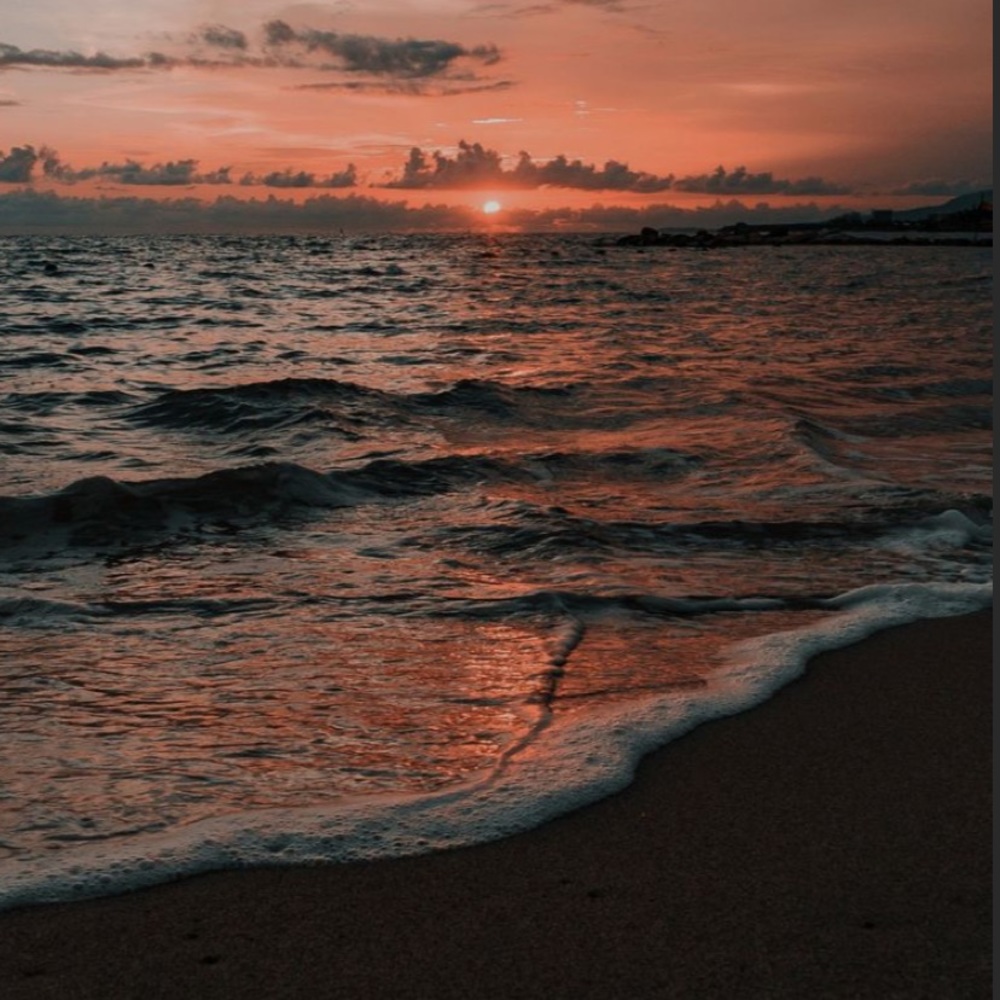 Meet your Posher, Honey